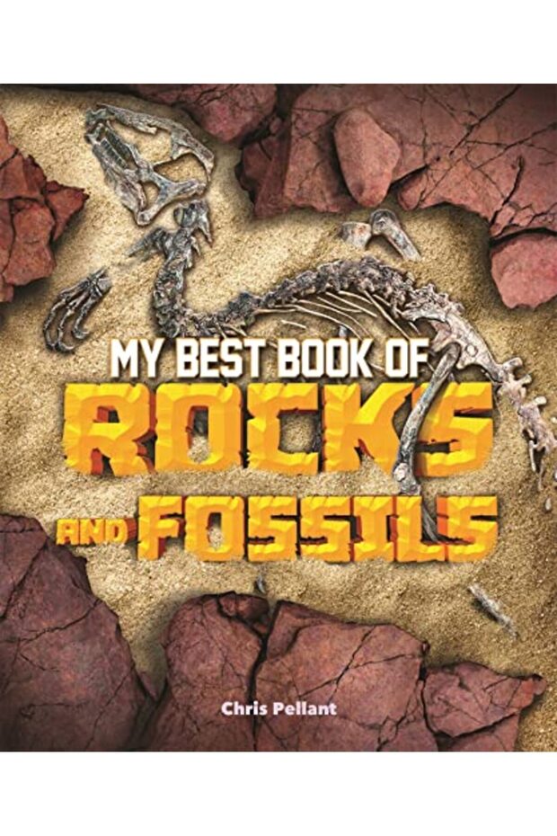 My Best Book Of Rocks And Fossils