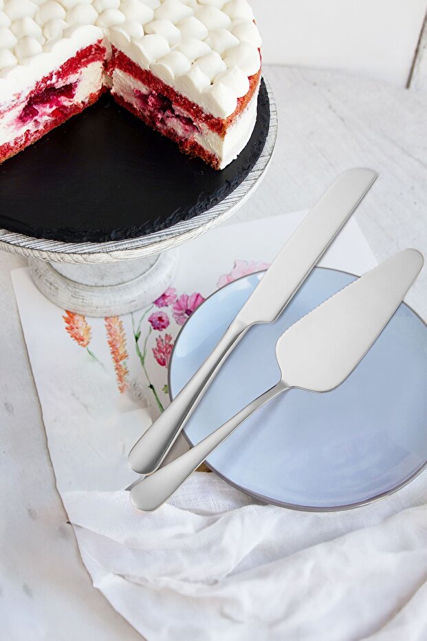 Çelik Silver Pasta Spatula Bıçak Seti Kek Sunum cin615by - 1
