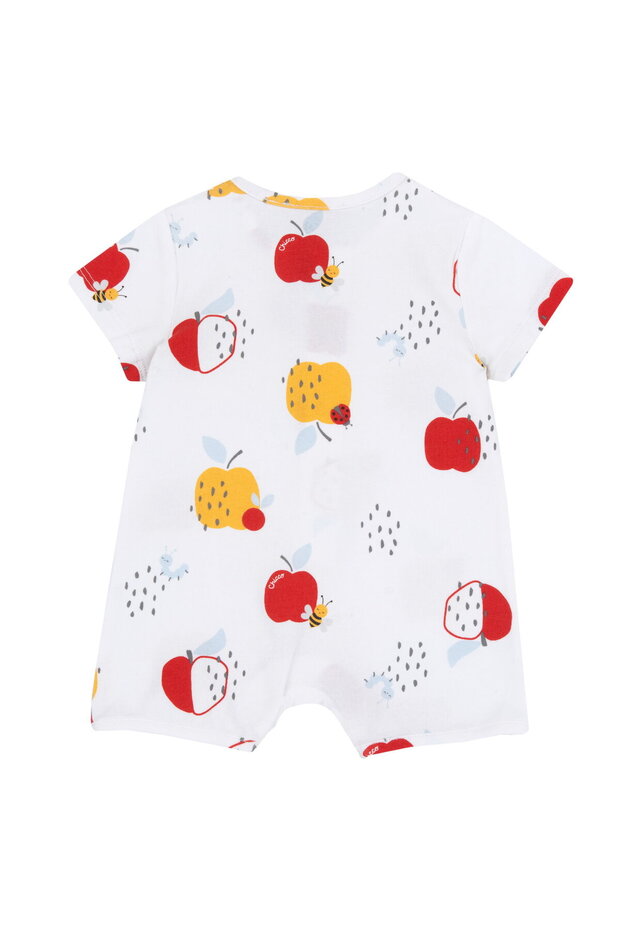 TULUM - YARIM KOL - 2