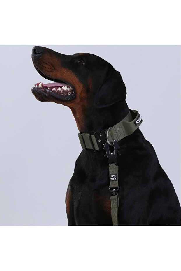 Tactlead Combat Gezdirme Kayışı-Güçlü Irklara Özel - 7