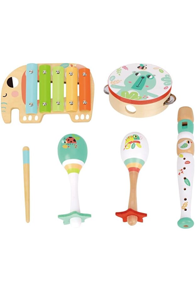 Music Instrument Set