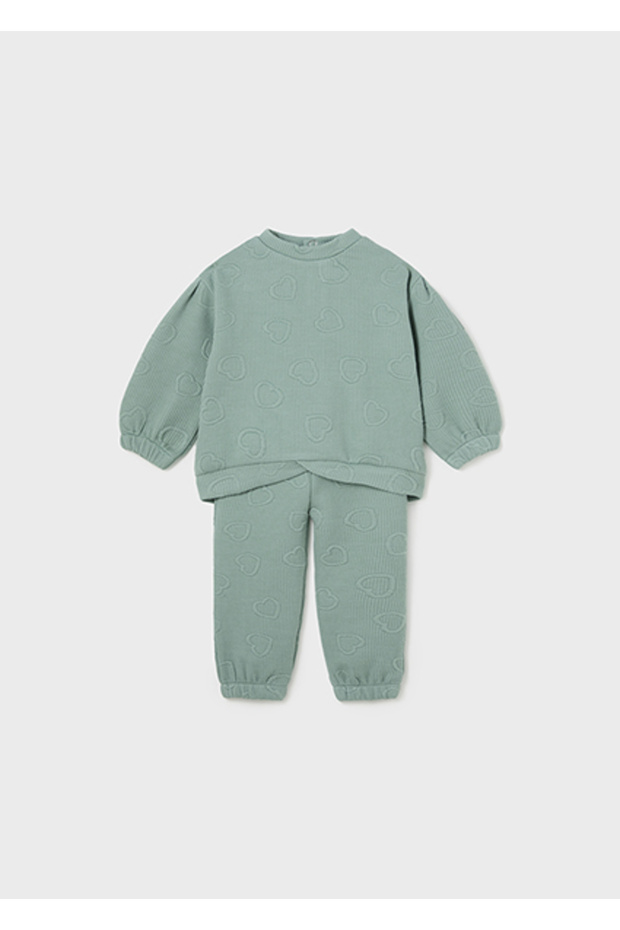 Baby Girl Tracksuit Set 02827