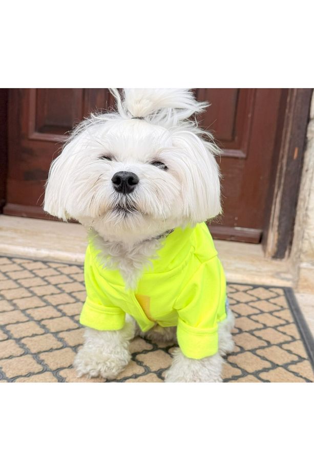 NEON SARI Softshell Köpek Yağmurluğu - 1