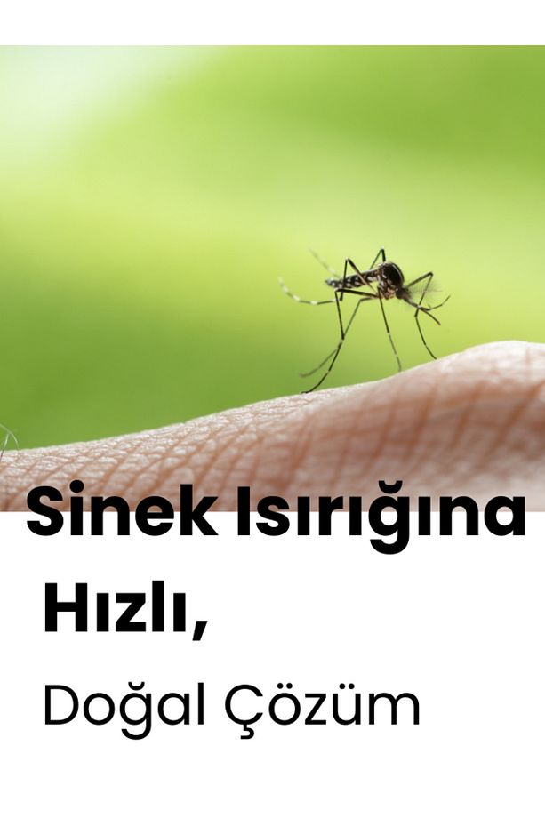 Sivilce, Siyah Nokta, Akne, Sinek Isırması, Cilt Problemi Onarıcı, Çay Ağacı Yağı Cilt Serumu 10 Ml - 2
