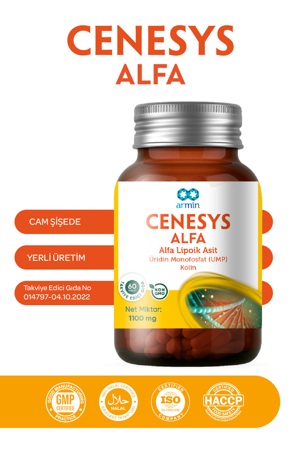 Cenesys Alfa 60 Tb - 3