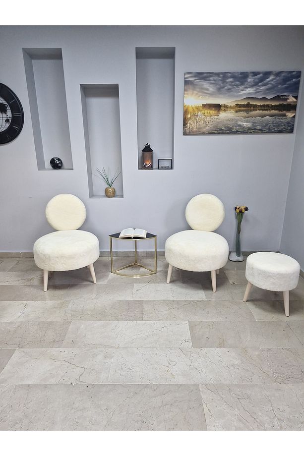 DÜNYA3lü Koltuk Seti Berjer -Bekleme Salonu Tekli Koltuk - Puf Seti - Cafe - Balkon - Ofis Mobilyası - 1