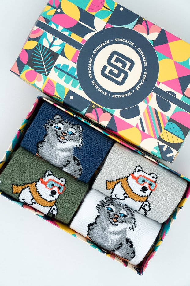 Unisex Cotton Cat and Bear Special Patterned 4 Different Colored Flexible Anti-Sweat Comfortable Socks