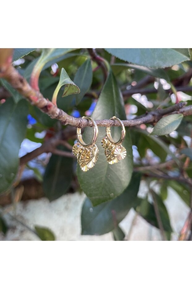 Pullu altın küpe - 5