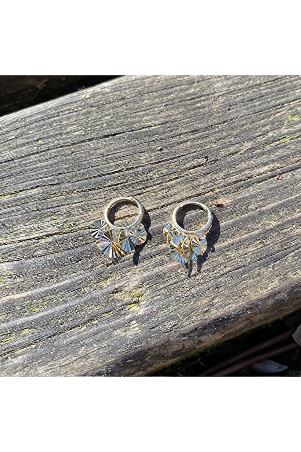 Pullu altın küpe - 3