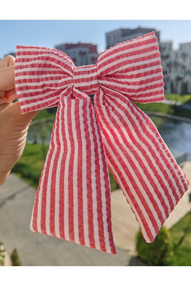 مشبك إكسسوارات مخطط بفيونكة أوتوماتيكية - 2