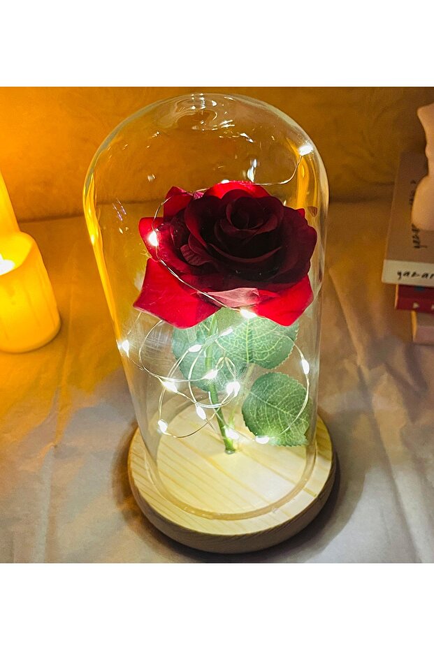 Işıklı Cam Fanus Solmayan Gül - 2