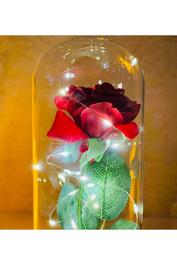 Işıklı Cam Fanus Solmayan Gül - 5