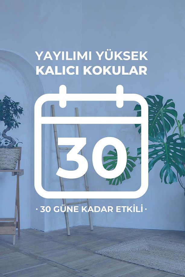Vanilya Çubuklu Oda Kokusu Vanilla Reed Diffuser 100ml - 5