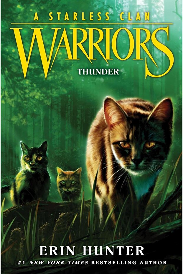 Thunder - Warriors. A Starless Clan