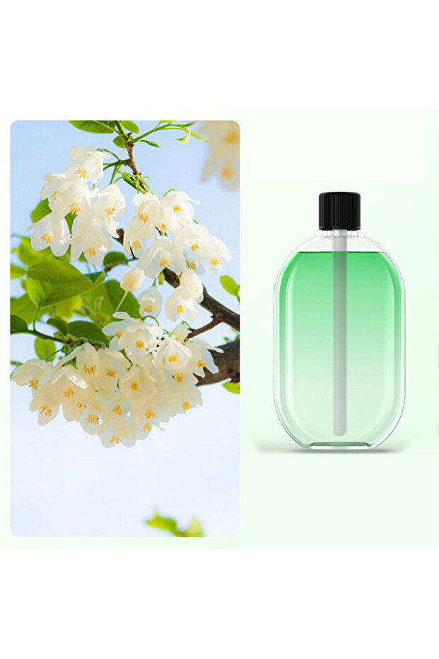 عطر الياسمين - 1