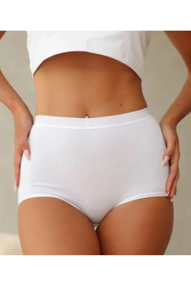 11656 Women's Modal Recovery Panties 6 Pieces