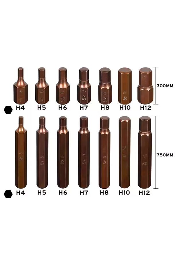 40 Parça Bits Uç Seti Torx Allen ve Spline (s2 Çelik Malzeme) - 4