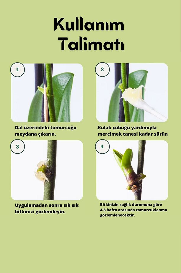 KEİKİ MACUNU ORKİDE VE BİTKİ ÇOĞALTMA DAL ÇIKARMA 5GR - 2