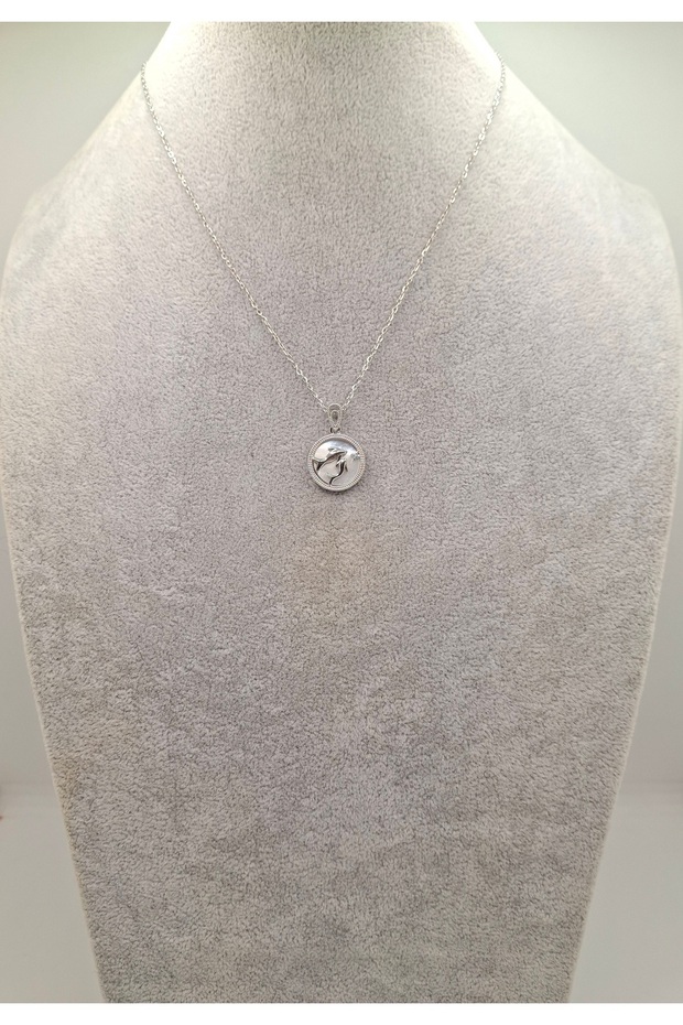 Silver Color Double Dolphin Model Steel Necklace
