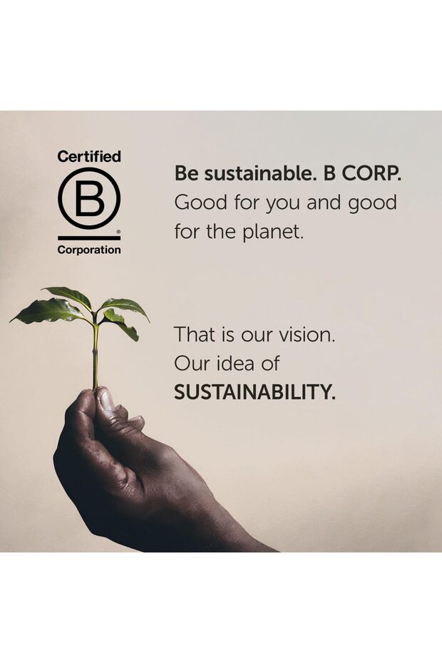 كبسولات قهوة E.S.E. - كلاسيكو متوسطة التحميص - نكهة الشوكولاتة والكراميل - 18 كبسولة، عبوة من 12 قطعة - 5