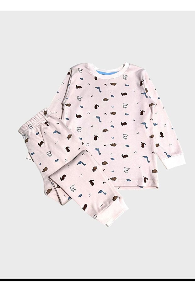 Girl's 100% Cotton Pink Hedgehog Patterned Long Sleeve Pajama Set