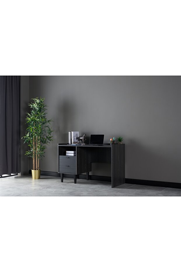 Franz Çalışma Masası - 3