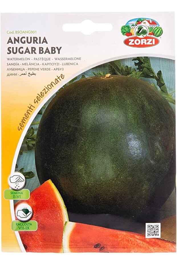 Watermelon Seeds Black