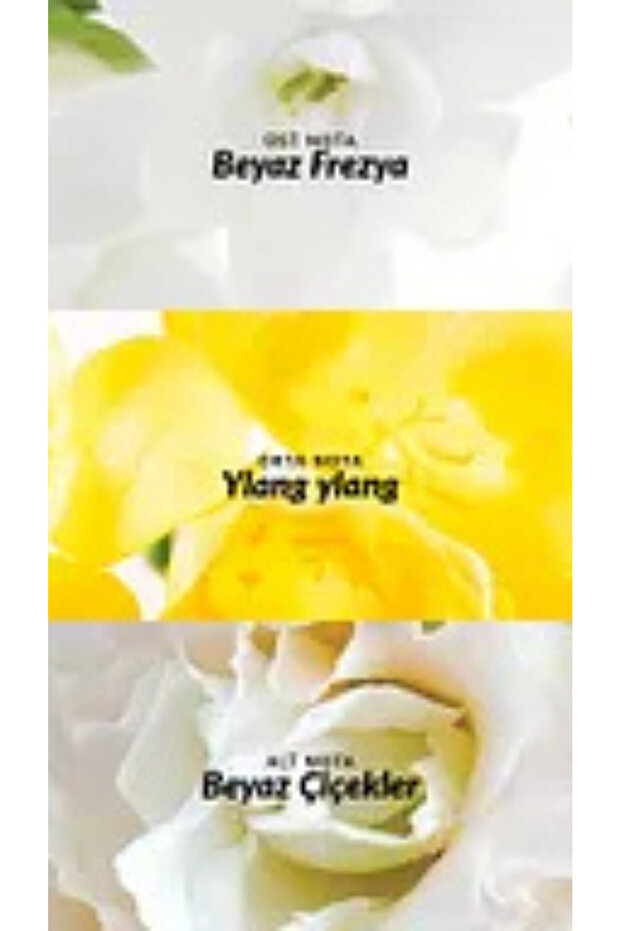 Pur Blanca Parfüm - 7