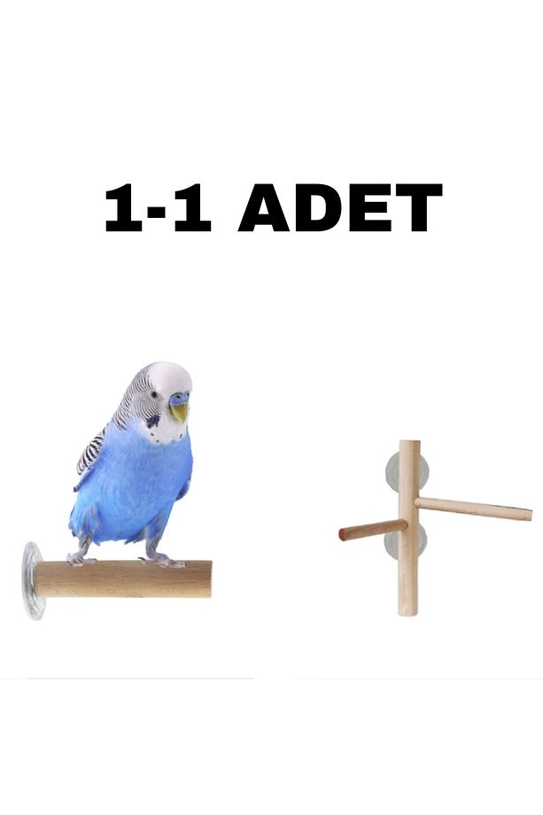 Vantuzlu Kuş Tüneği - 1