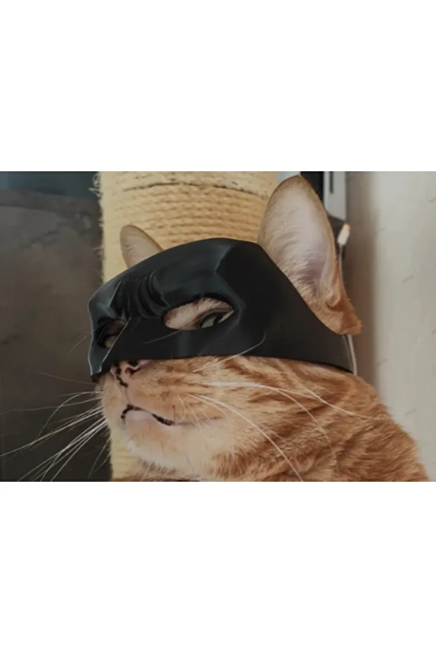 Batcat-Batman Giyilebilir Kedi Maskesi Evcil Hayvan Maskesi - 2