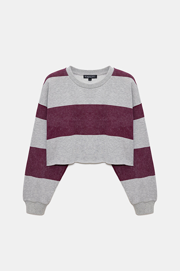 Striped Hooded Crop Sweatshirt