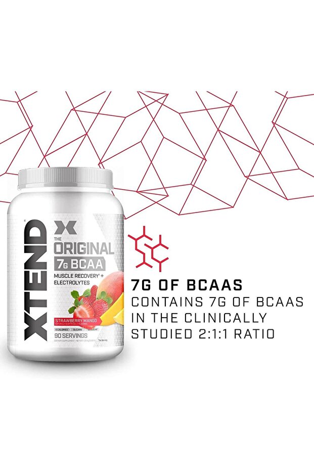 BCAA 90 SERVİS - 2