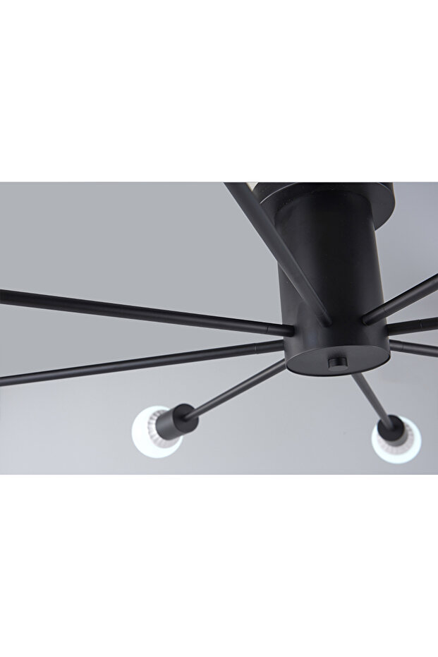 Modern Home Ceiling Lamp Black - 3