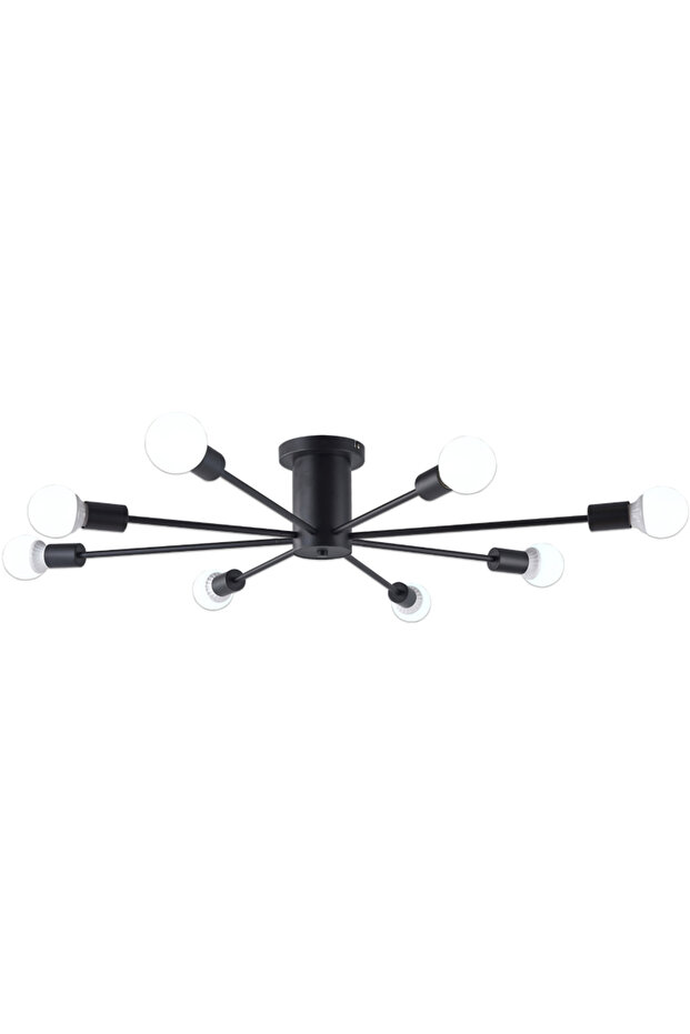 Modern Home Ceiling Lamp Black - 1