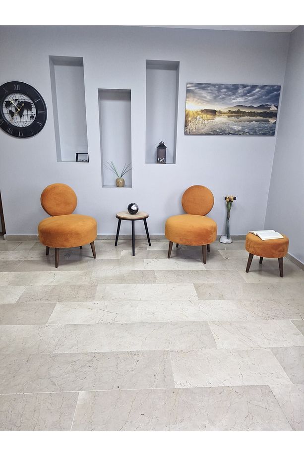 DÜNYA3lü Koltuk Seti Berjer -Bekleme Salonu Tekli Koltuk - Puf Seti - Cafe - Balkon - Ofis Mobilyası - 2