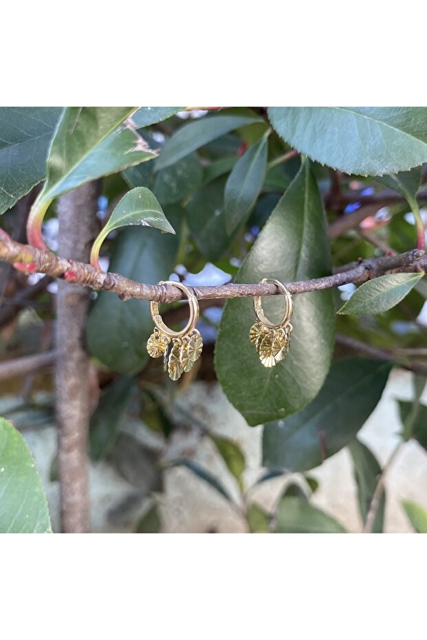 Pullu altın küpe - 1