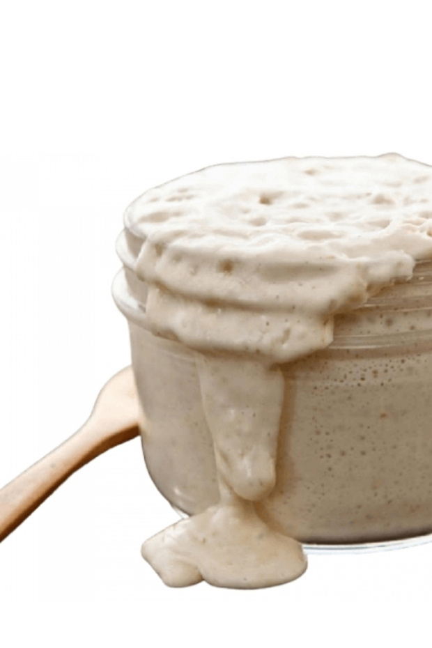 Siyez ekşi maya 200 gr - 2