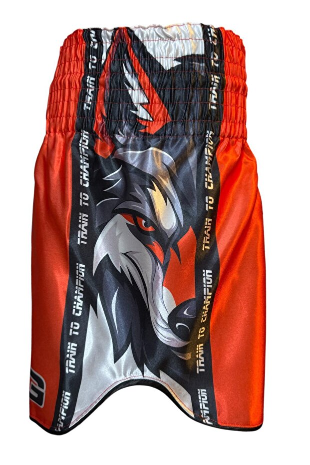 Kickboks Şortu - 2
