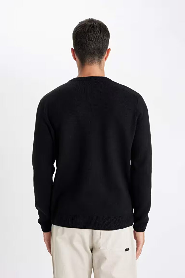Regular Fit Round Neck Knit Sweater - 6