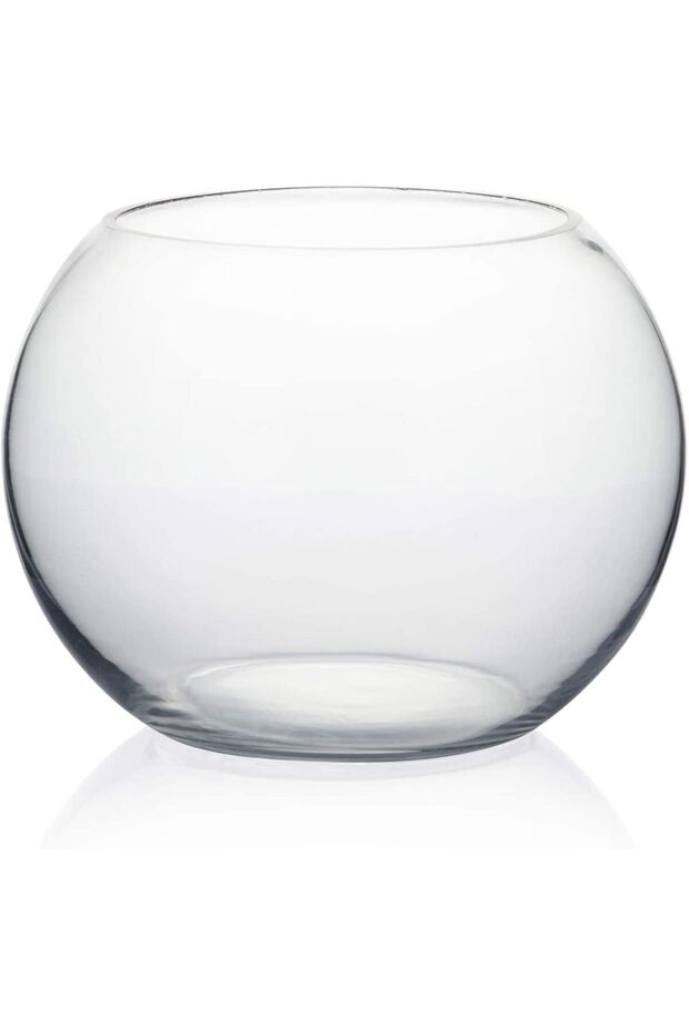 6-Inch Clear Bubble Bowl Glass Vase, Transparent Planter, Fish Bowl for Home Décor, 1 Piece