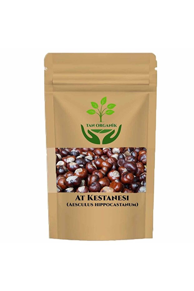 كستناء الحصان (Aesculus hippocastanum) 100 جرام