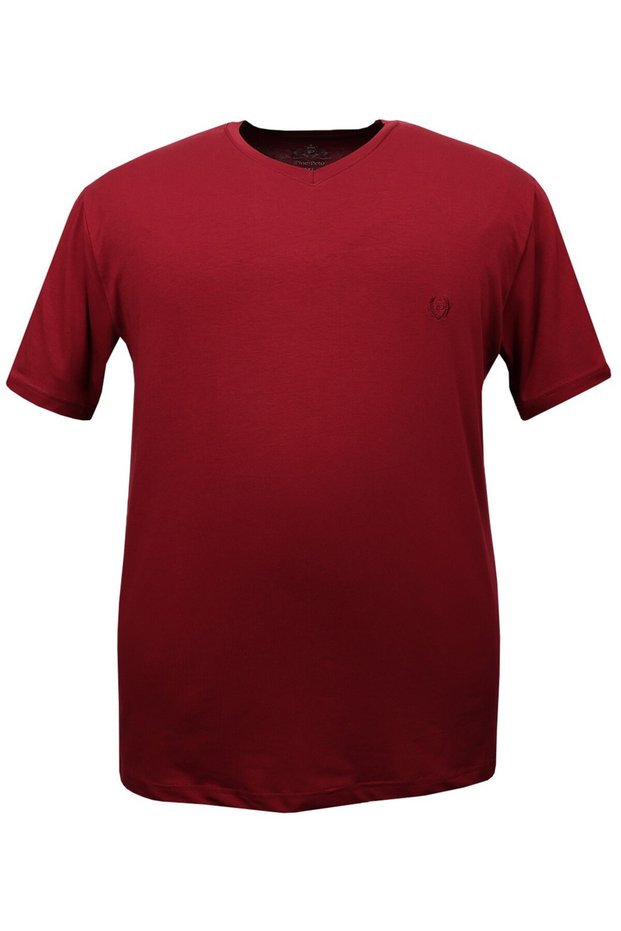 Plus Size Cotton Single Jersey V-Neck T-Shirt
