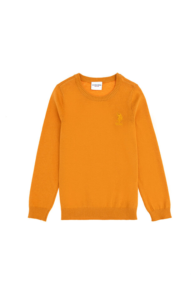 Boy's Mustard Crew Neck Basic Sweater 50288893-Vr072