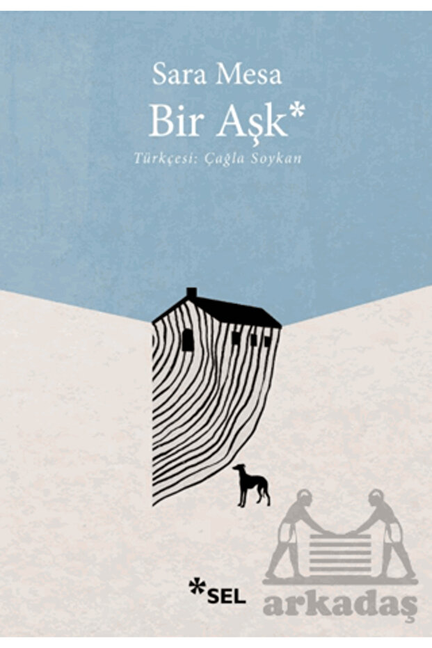 Bir Aşk