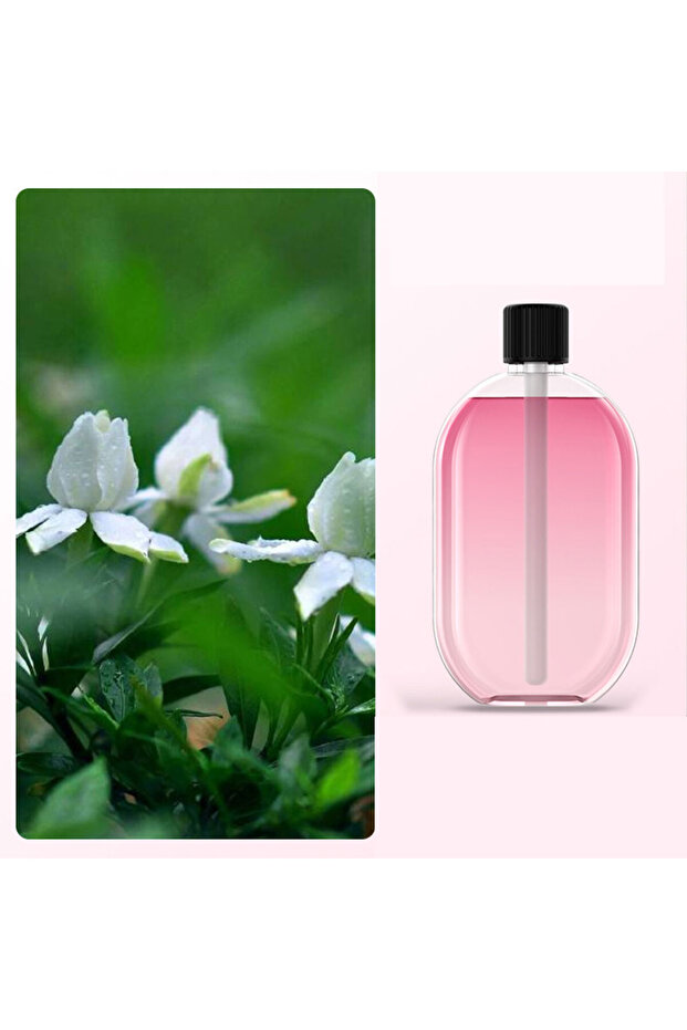 عطر جاردينا - 1