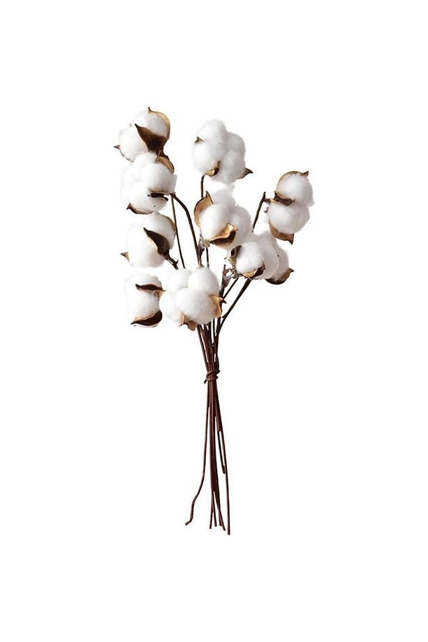3lü Set Doğal Pamuk Çiçeği 30 Adet Tekli Dal Kuru Çiçek 30cm Yapay Çiçek - 2