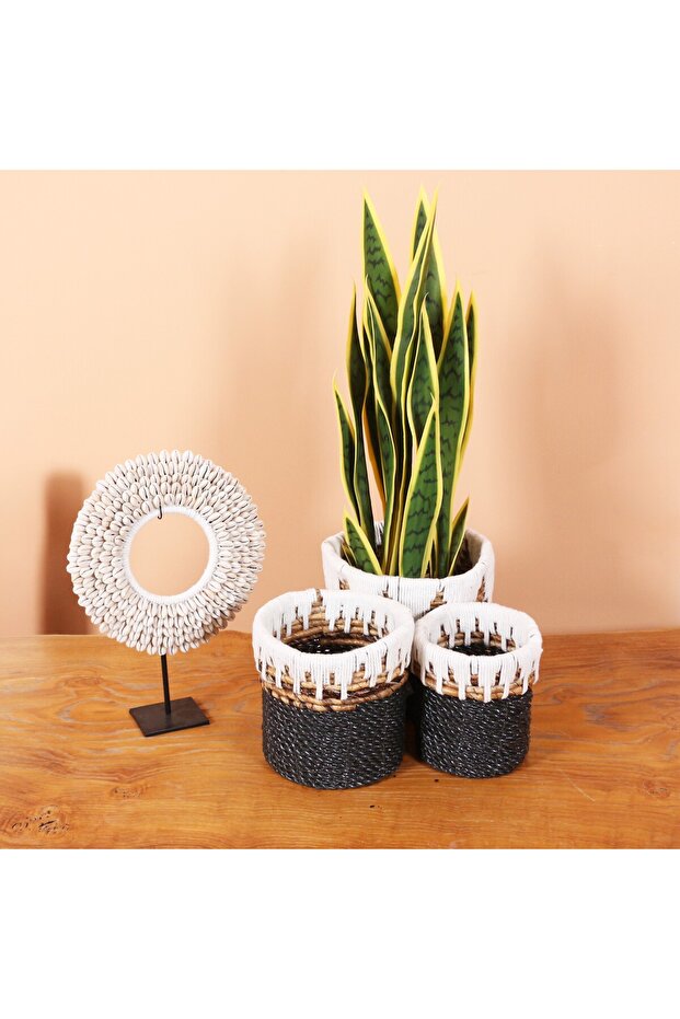 Nevşehir Natural Abaca Set of 3 Flower Pot & Storage Organization