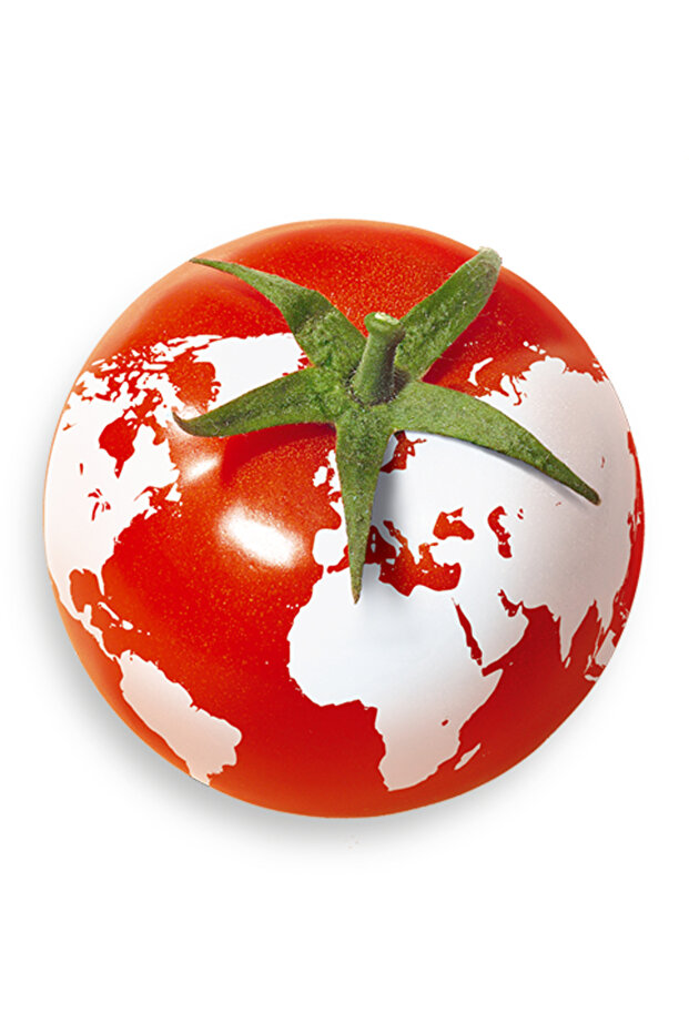 Doğranmış Domates 4100 gram - 6