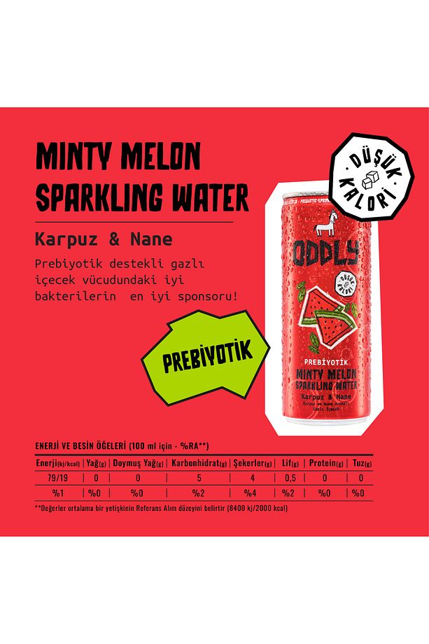 MINTY MELON KARPUZ NANE KUTU 250 ML X 8 ADET - 4