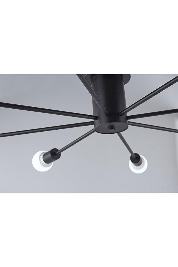 Modern Home Ceiling Lamp Black - 6